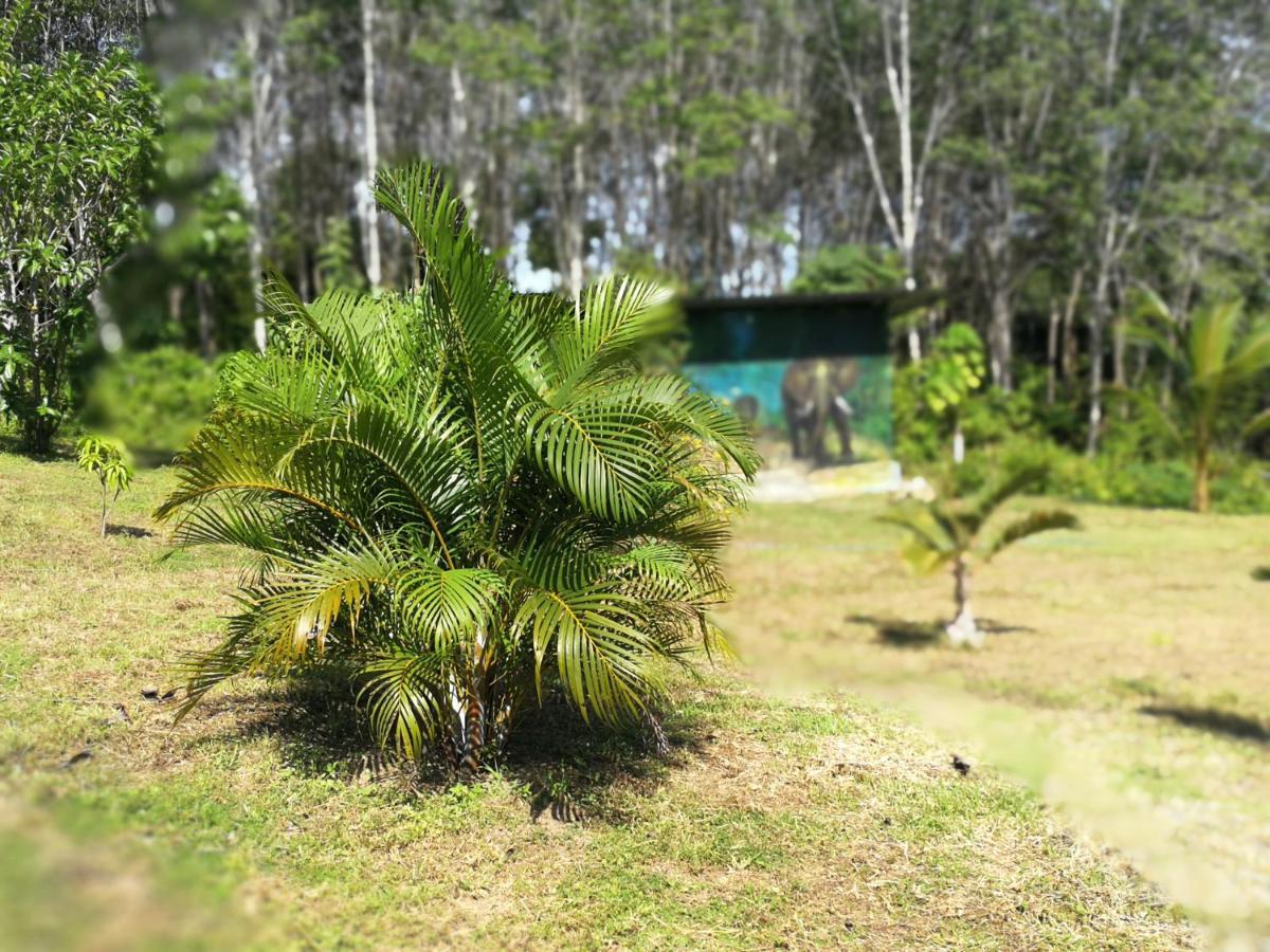 Apartamento Palm Garden House Ko Lanta Exterior foto